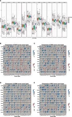 Pan-Cancer Molecular Characterization of m6A Regulators and Immunogenomic Perspective on the Tumor Microenvironment